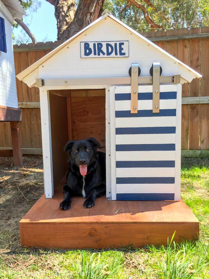 Barn Door Dog House