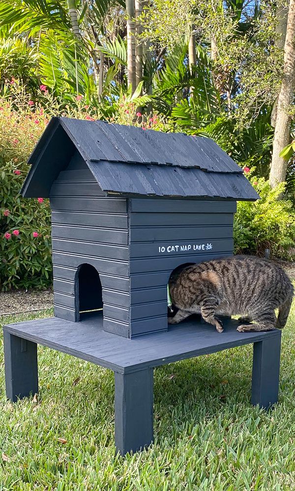 Outdoor Cat House Shelter