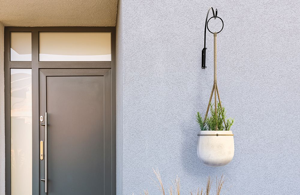 Hanging Plants