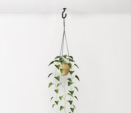 Plant Hangers & Chains