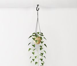 Plant Hangers & Chains