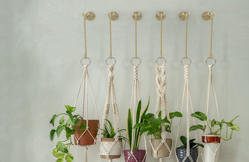 Hooks For Hanging Plant - Best Price in Singapore - Jan 2024