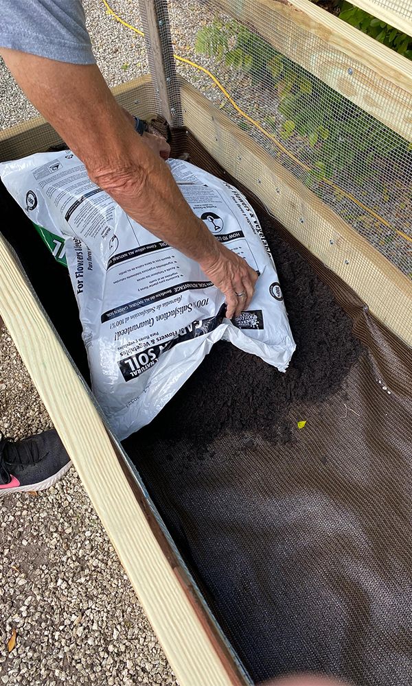 Vegetable Garden Bed