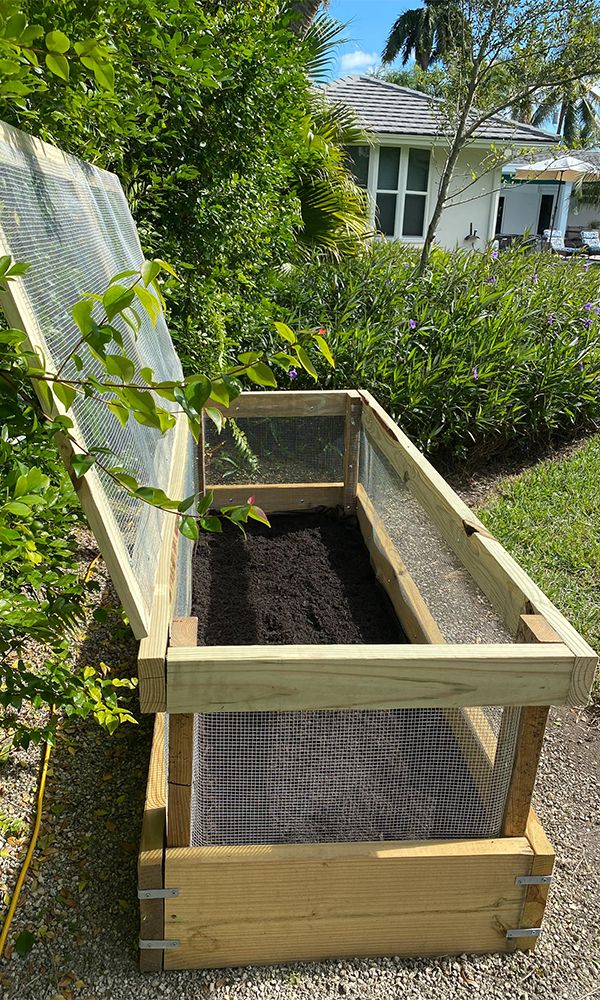 Vegetable Garden Bed