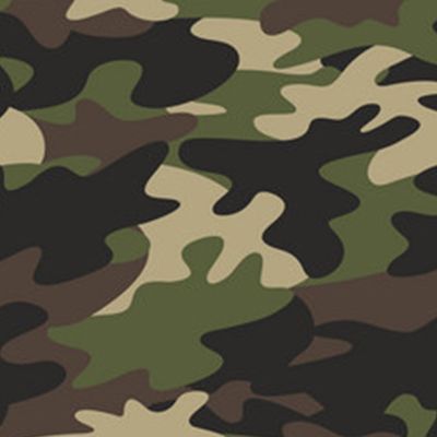 Finish Swatch for Camouflage