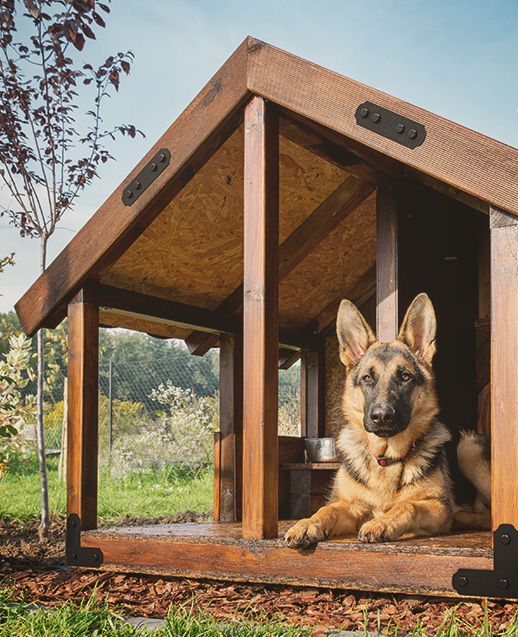 metal brackets for doghouse