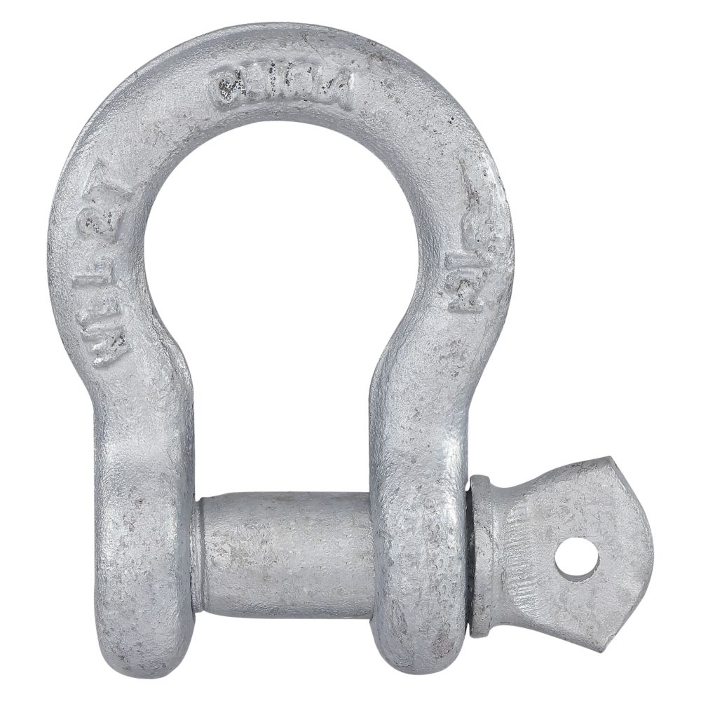 Primary Product Image for Anchor Shackle