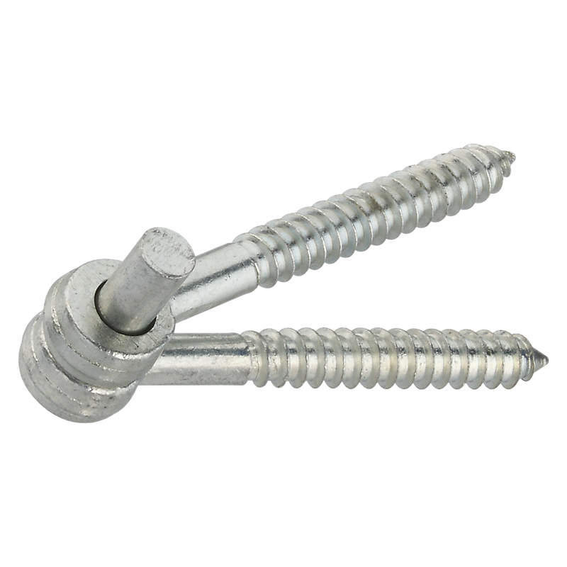 Primary Product Image for Screw Hook & Eye Hinges