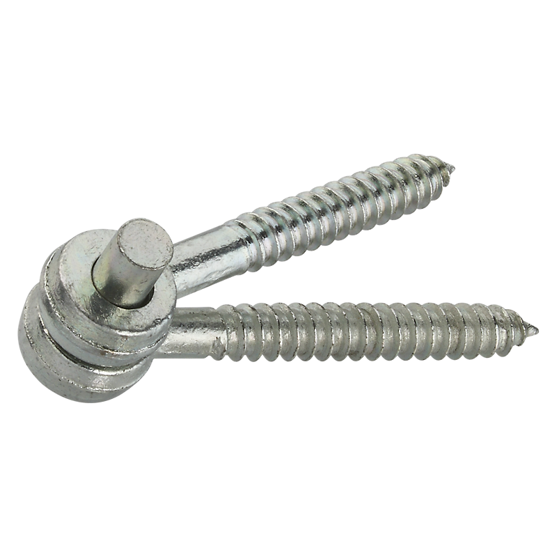 Primary Product Image for Screw Hook & Eye Hinges