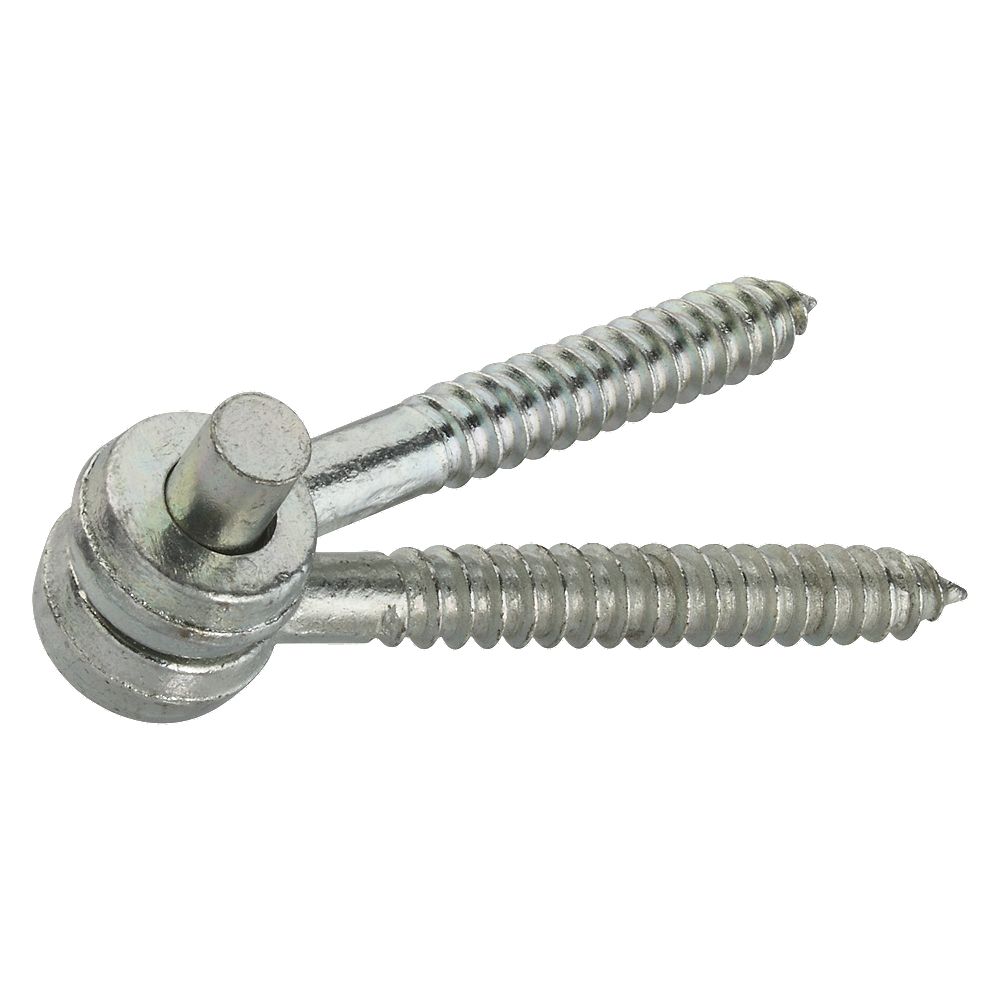 Clipped Image for Screw Hook & Eye Hinges