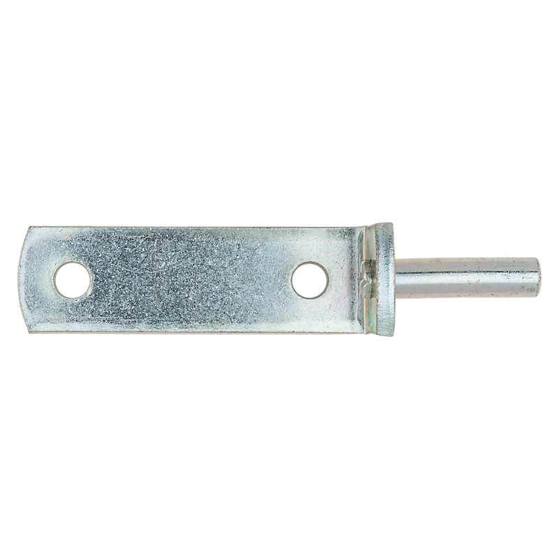 Primary Product Image for Pintle