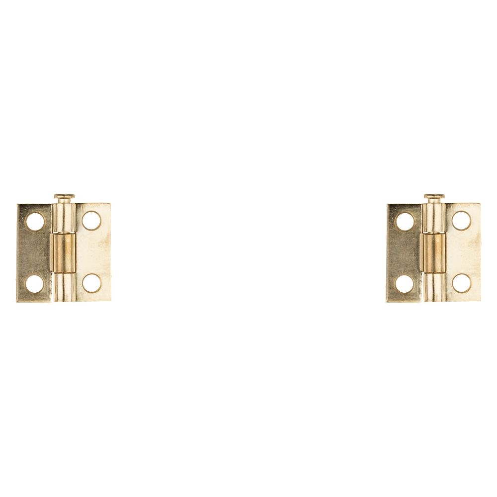 Clipped Image for Removable Pin Hinge