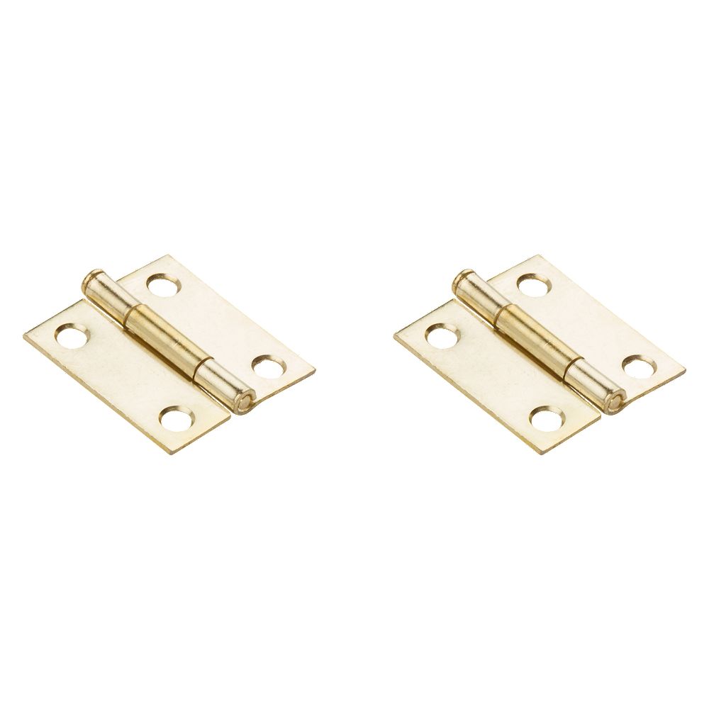 Clipped Image for Removable Pin Hinge