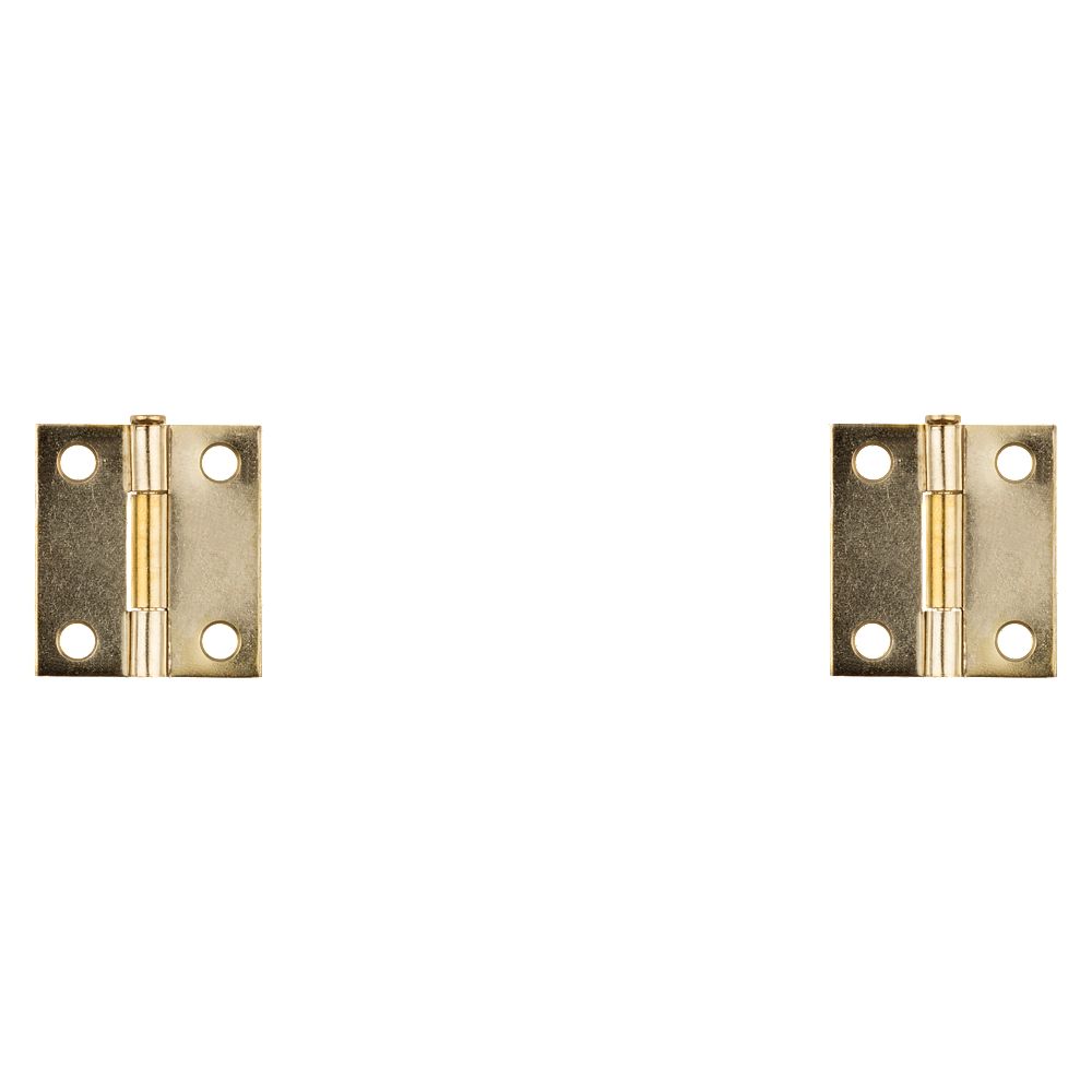 Clipped Image for Removable Pin Hinge