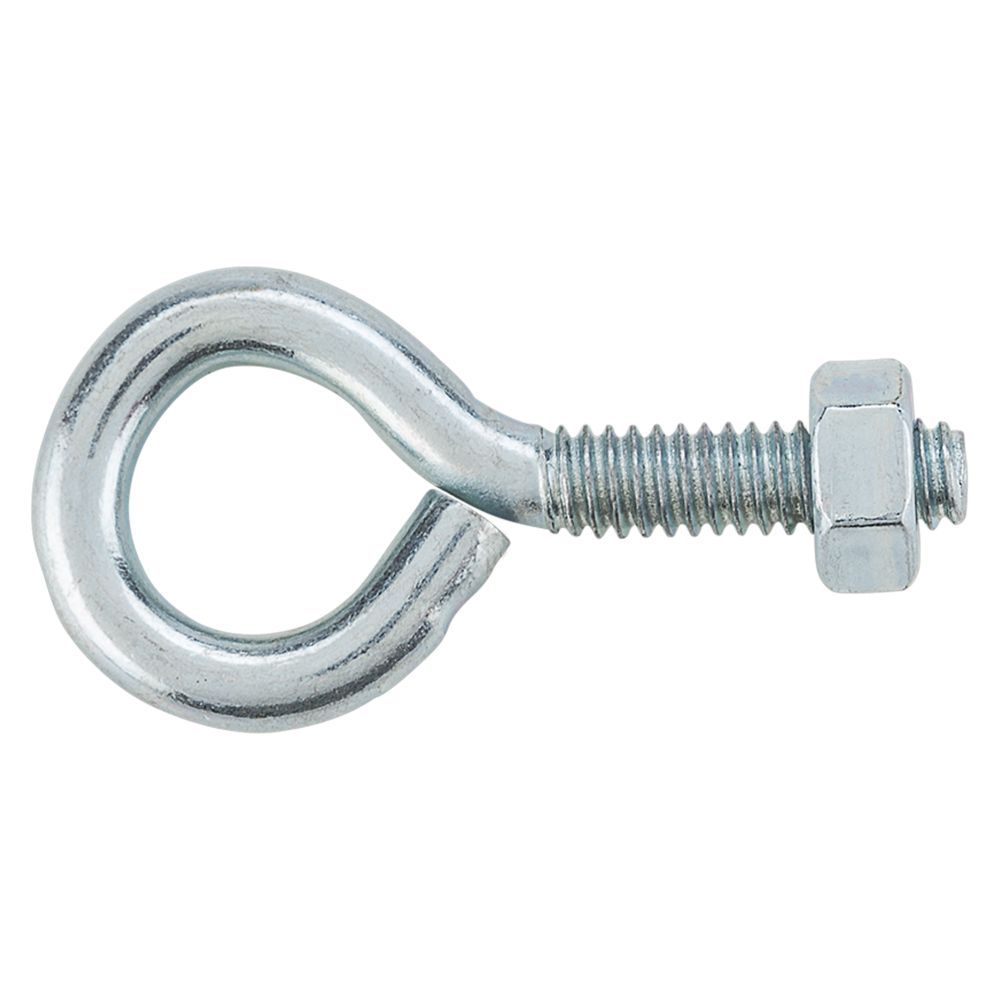 Primary Product Image for Eye Bolt