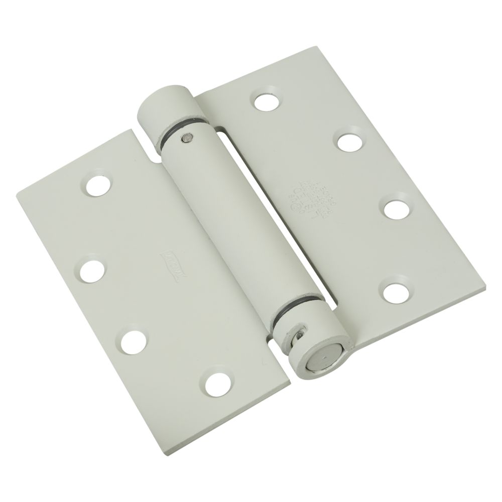 Primary Product Image for Spring Hinge