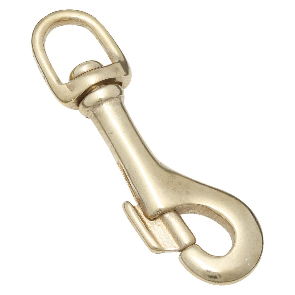Clipped Image for Bolt Snap