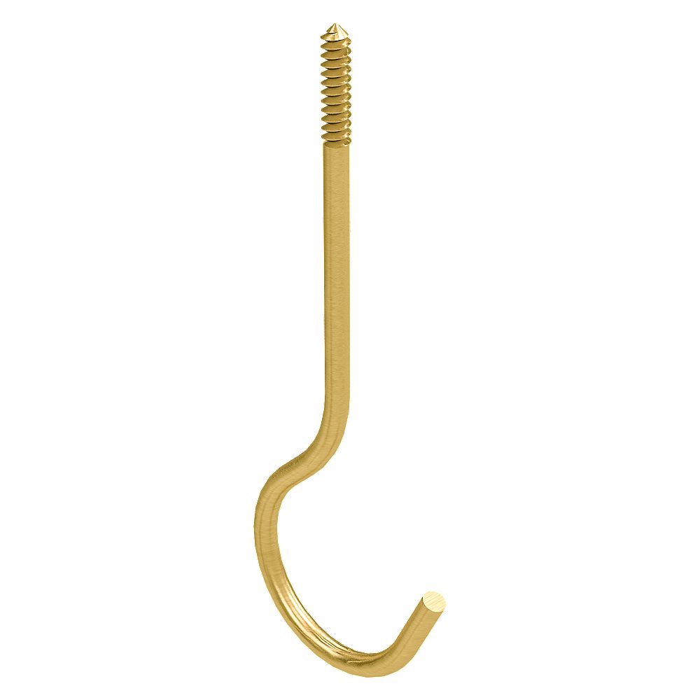 Clipped Image for Ceiling Hooks