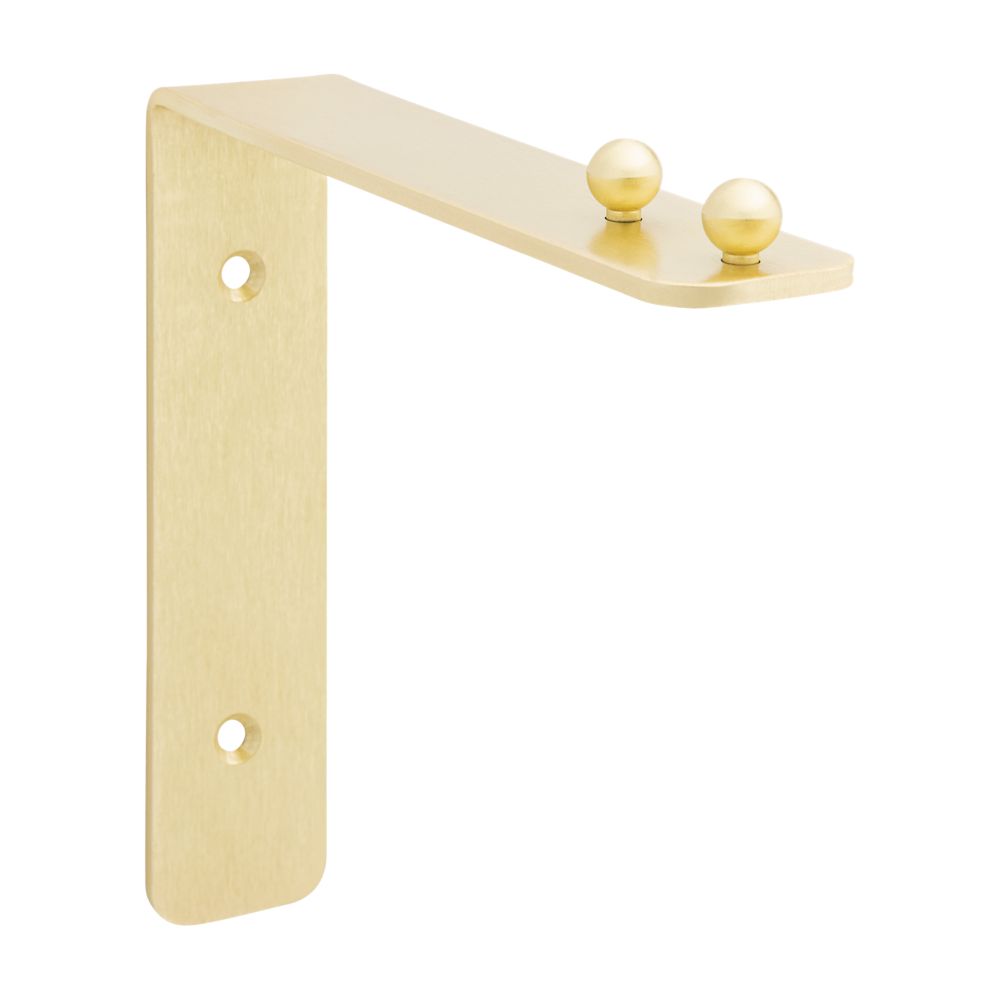 Primary Product Image for Hanging Plant Wall Bracket