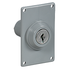 Clipped Image for Electric Key Switch