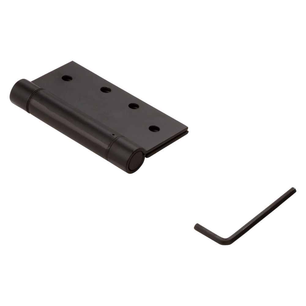 Primary Product Image for Spring Hinge