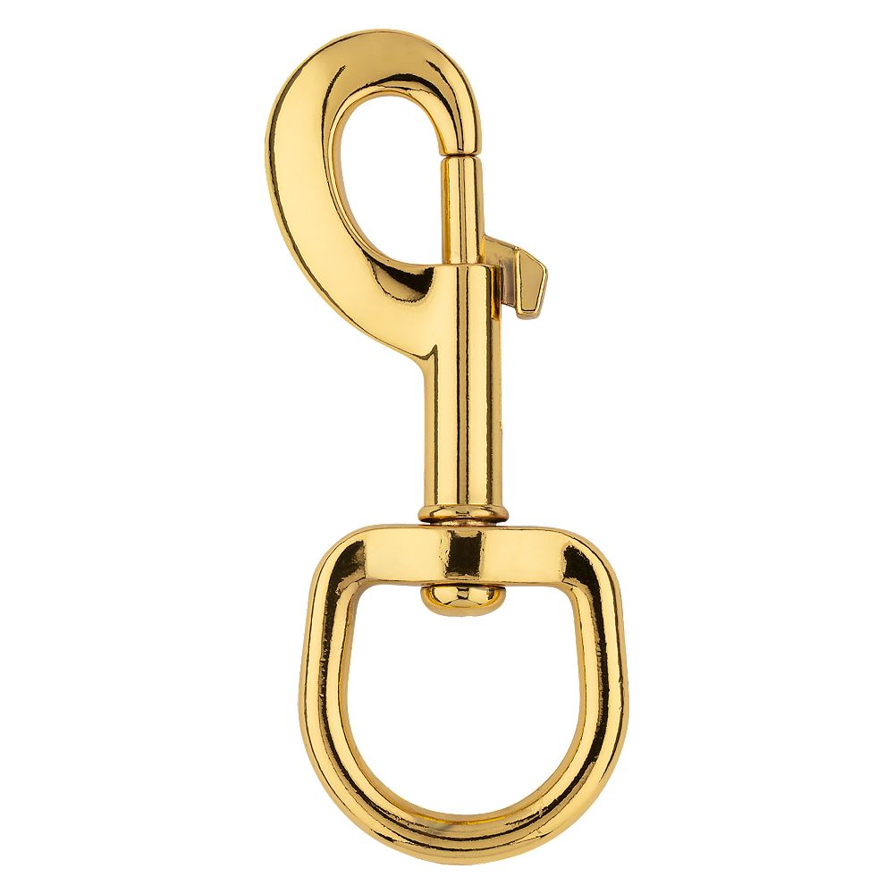 Clipped Image for Bolt Snap