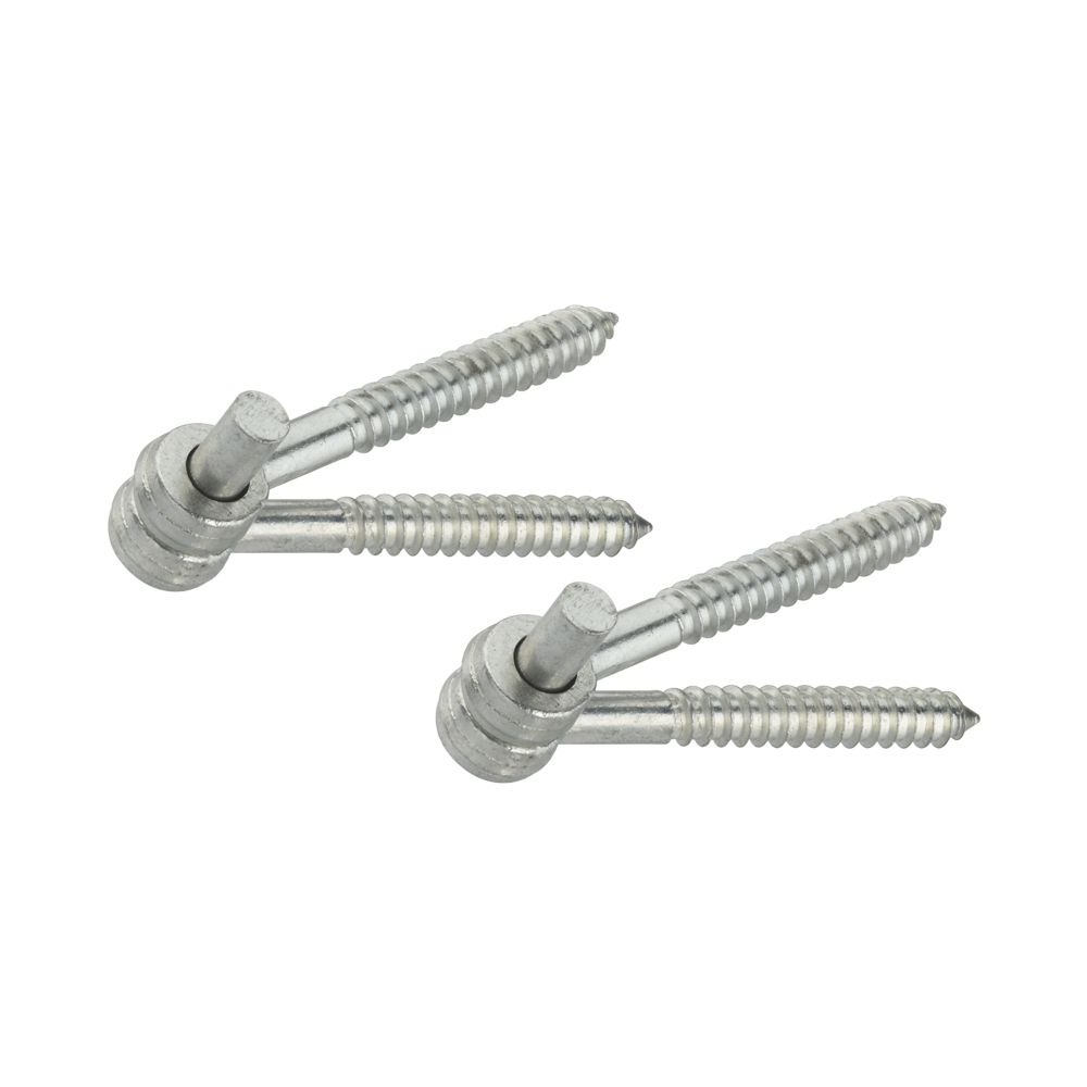 Primary Product Image for Screw Hook & Eye Hinges