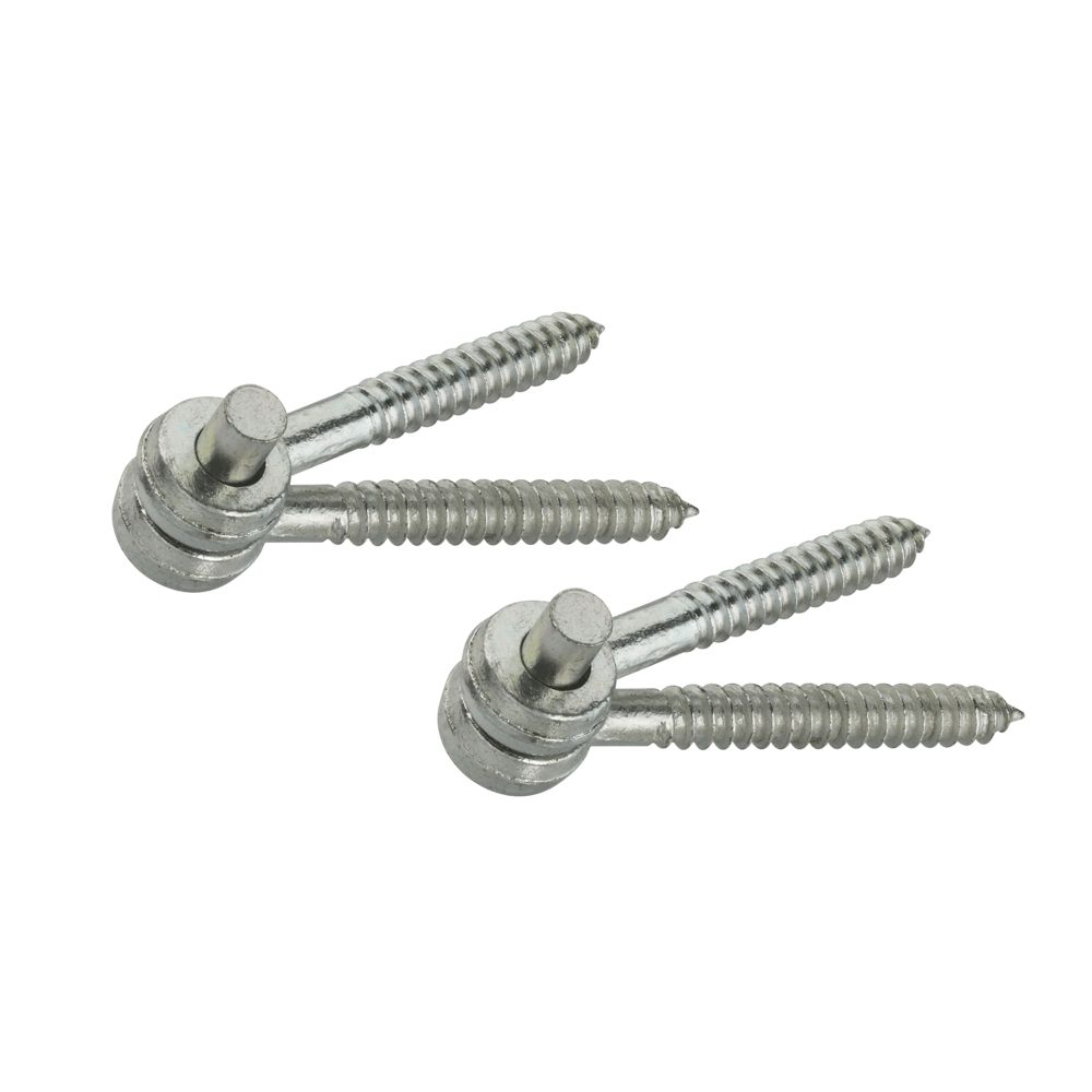 Primary Product Image for Screw Hook & Eye Hinges