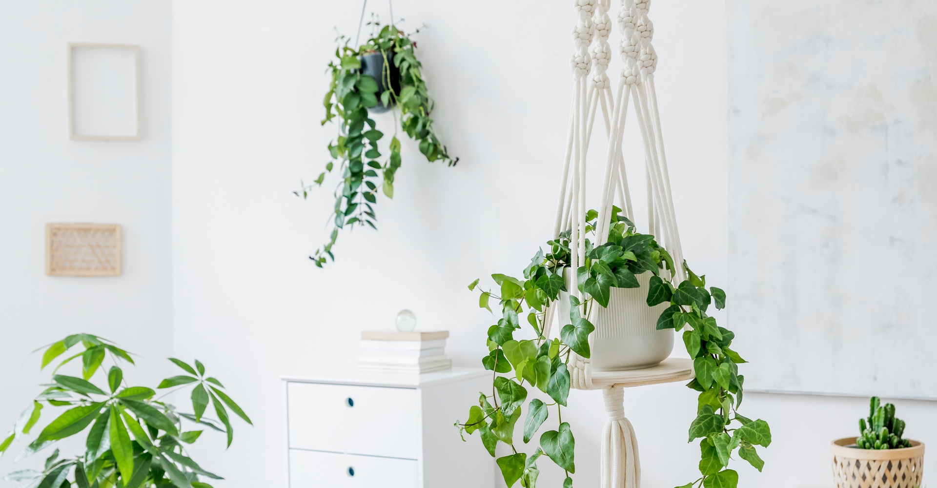 Plant Hanging Hardware National Hardware