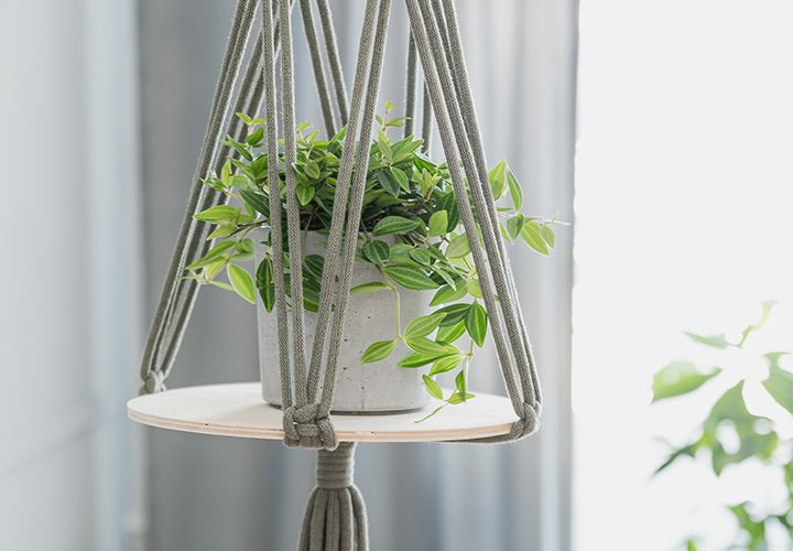 Plant Hanging Hardware