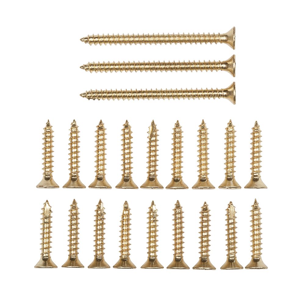 Primary Product Image for Door Hinge Screws