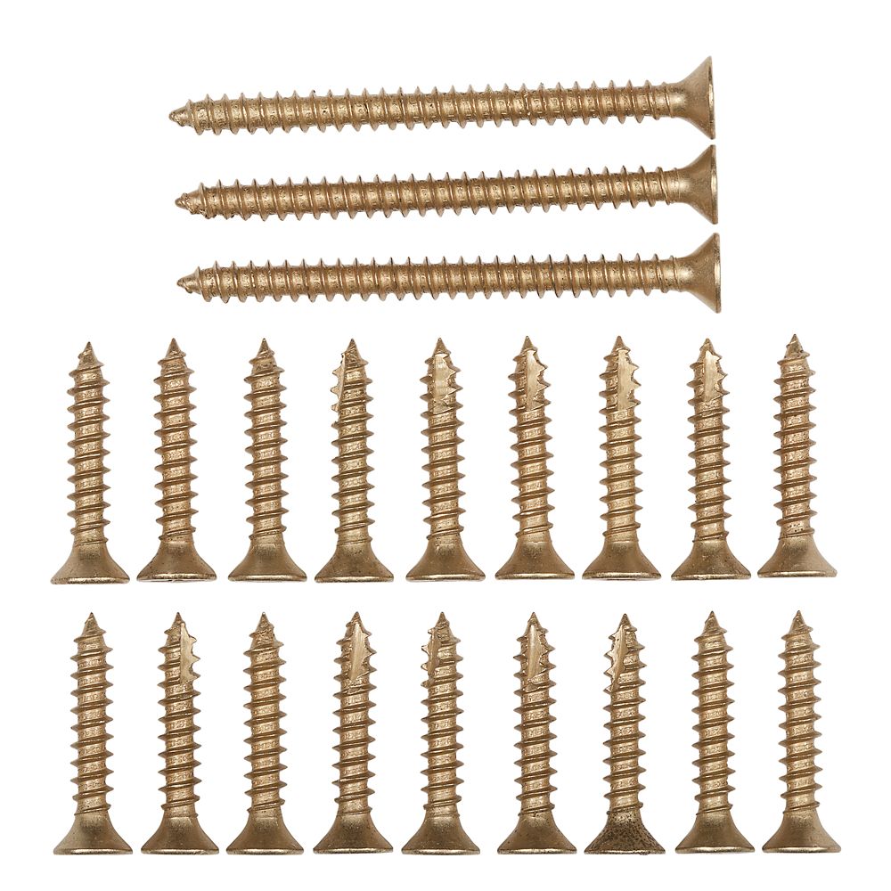 Primary Product Image for Door Hinge Screws