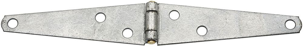 Clipped Image for Light Strap Hinge