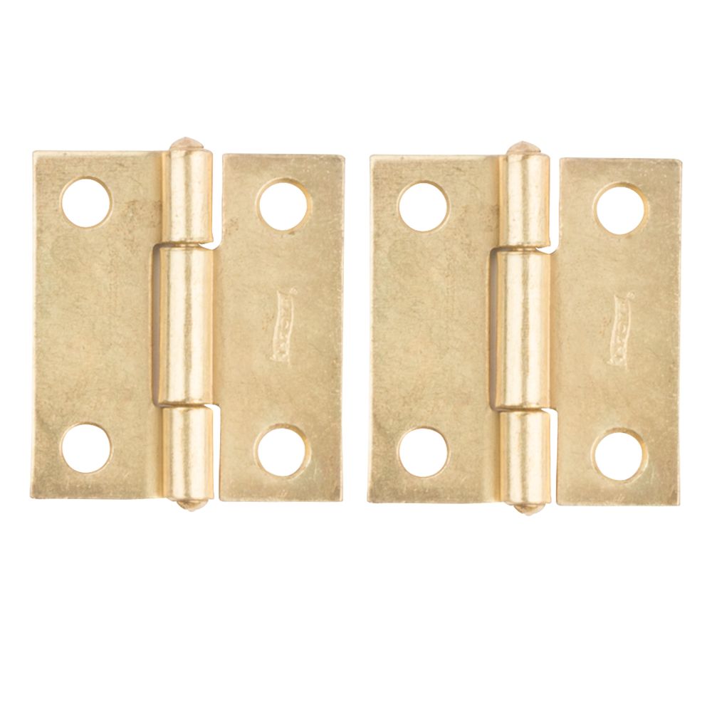 Clipped Image for Non-Removable Pin Hinge