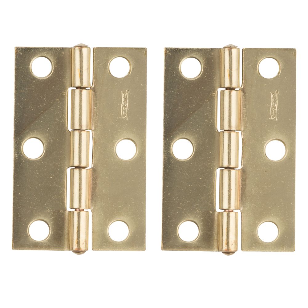 Clipped Image for Non-Removable Pin Hinge