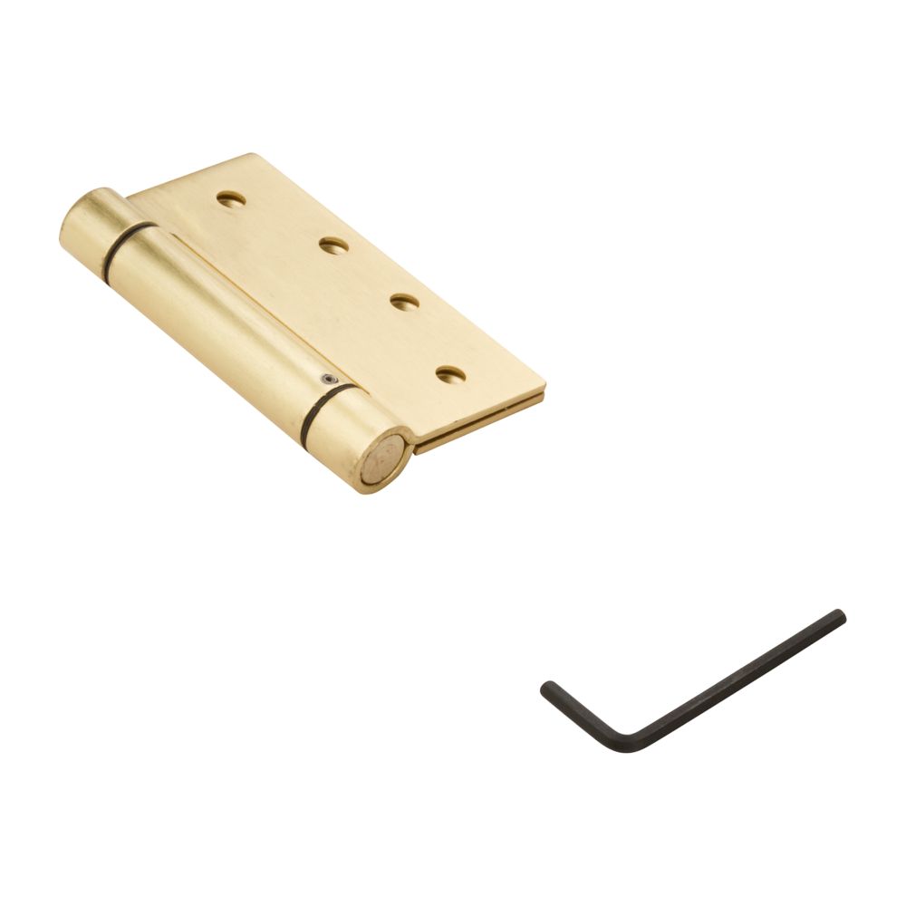 Primary Product Image for Spring Hinge