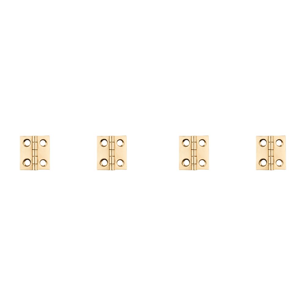 Clipped Image for Hinge