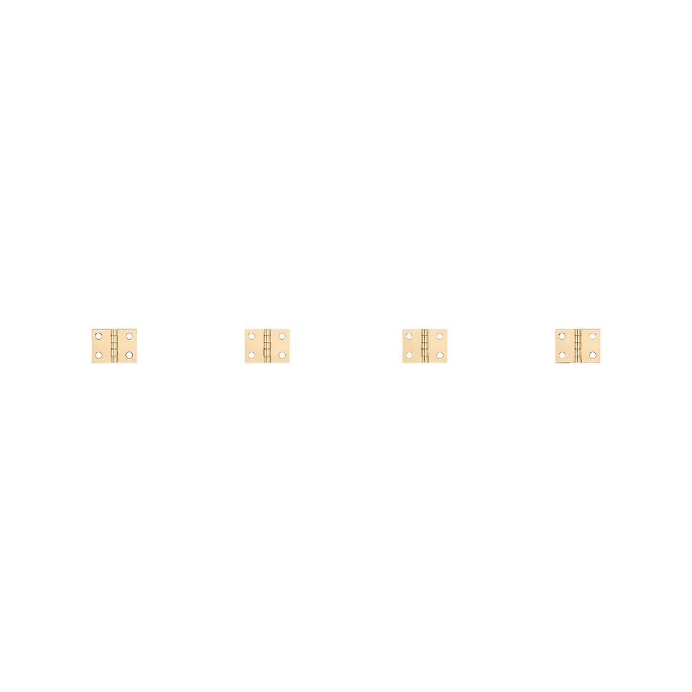 Clipped Image for Hinge