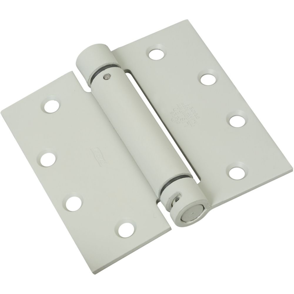 Primary Product Image for Spring Hinge