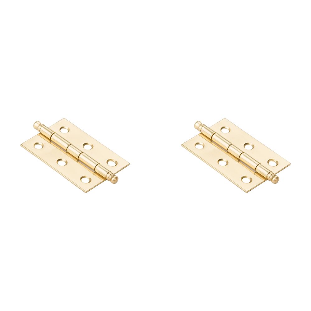 Clipped Image for Ball Tip Hinge