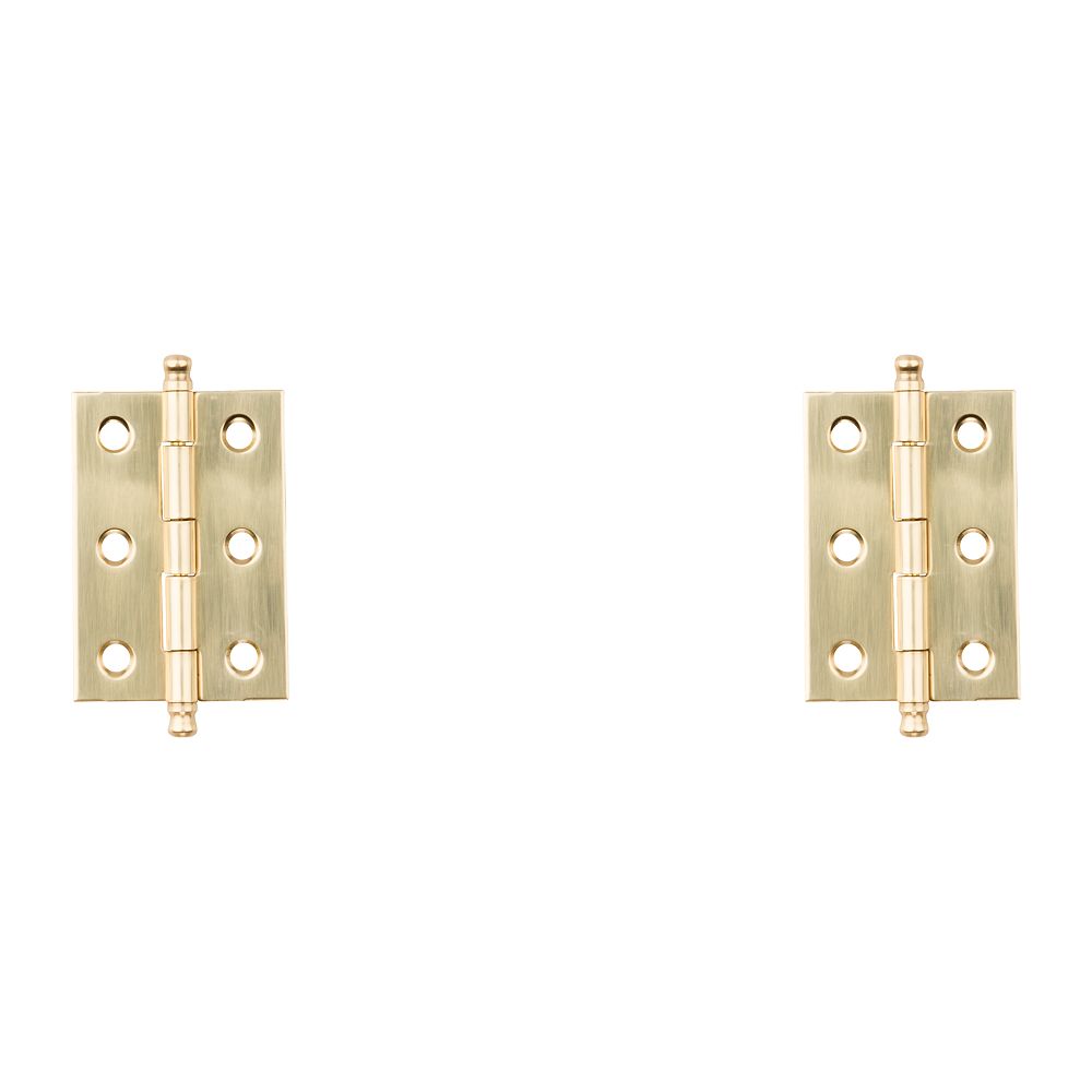 Clipped Image for Ball Tip Hinge