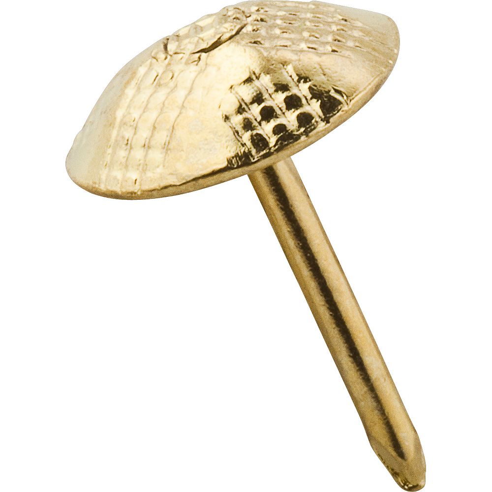 Clipped Image for Upholstery Nails