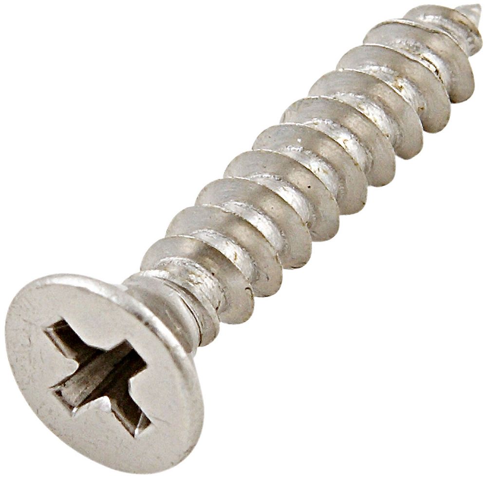 Clipped Image for Door Hinge Screws