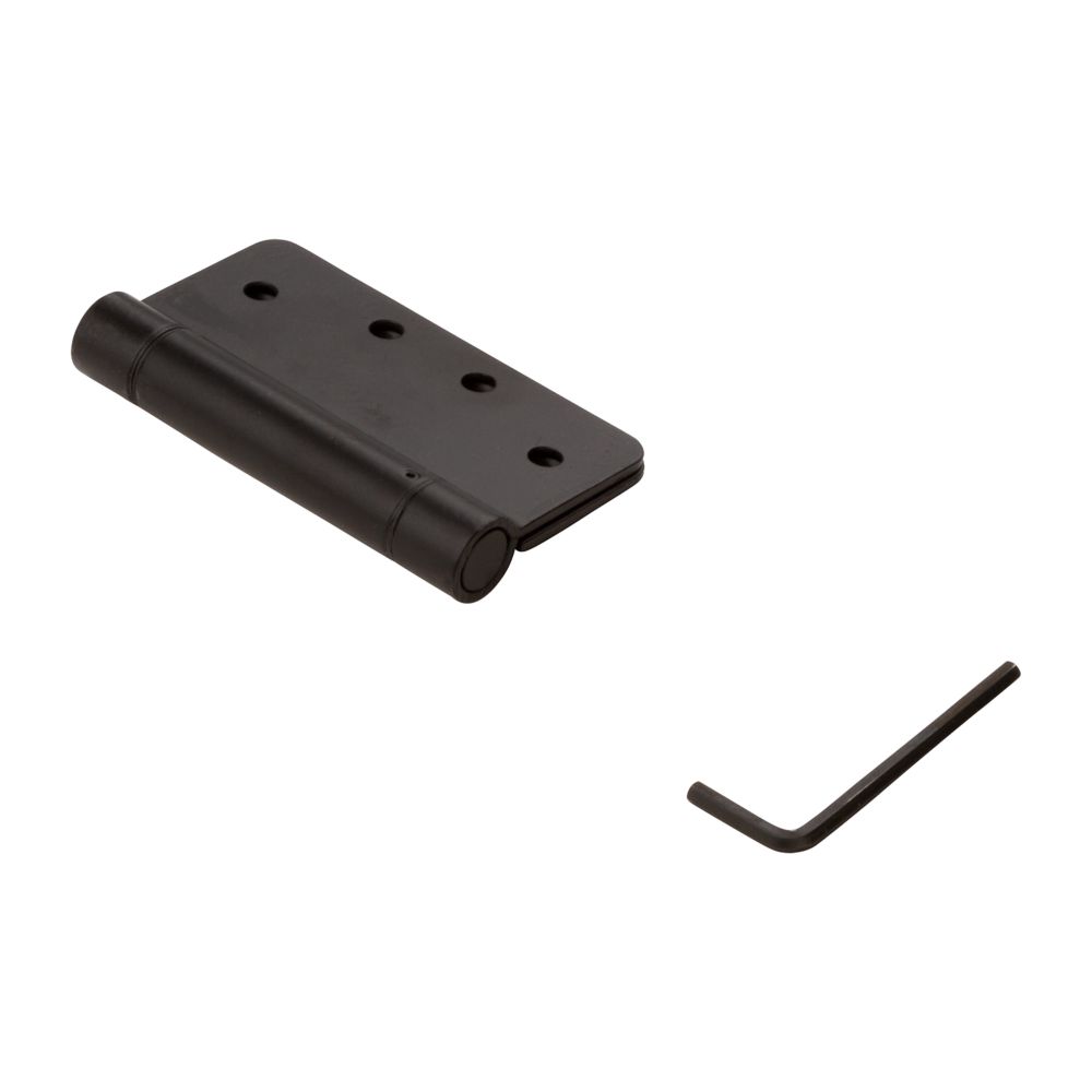 Primary Product Image for Spring Hinge