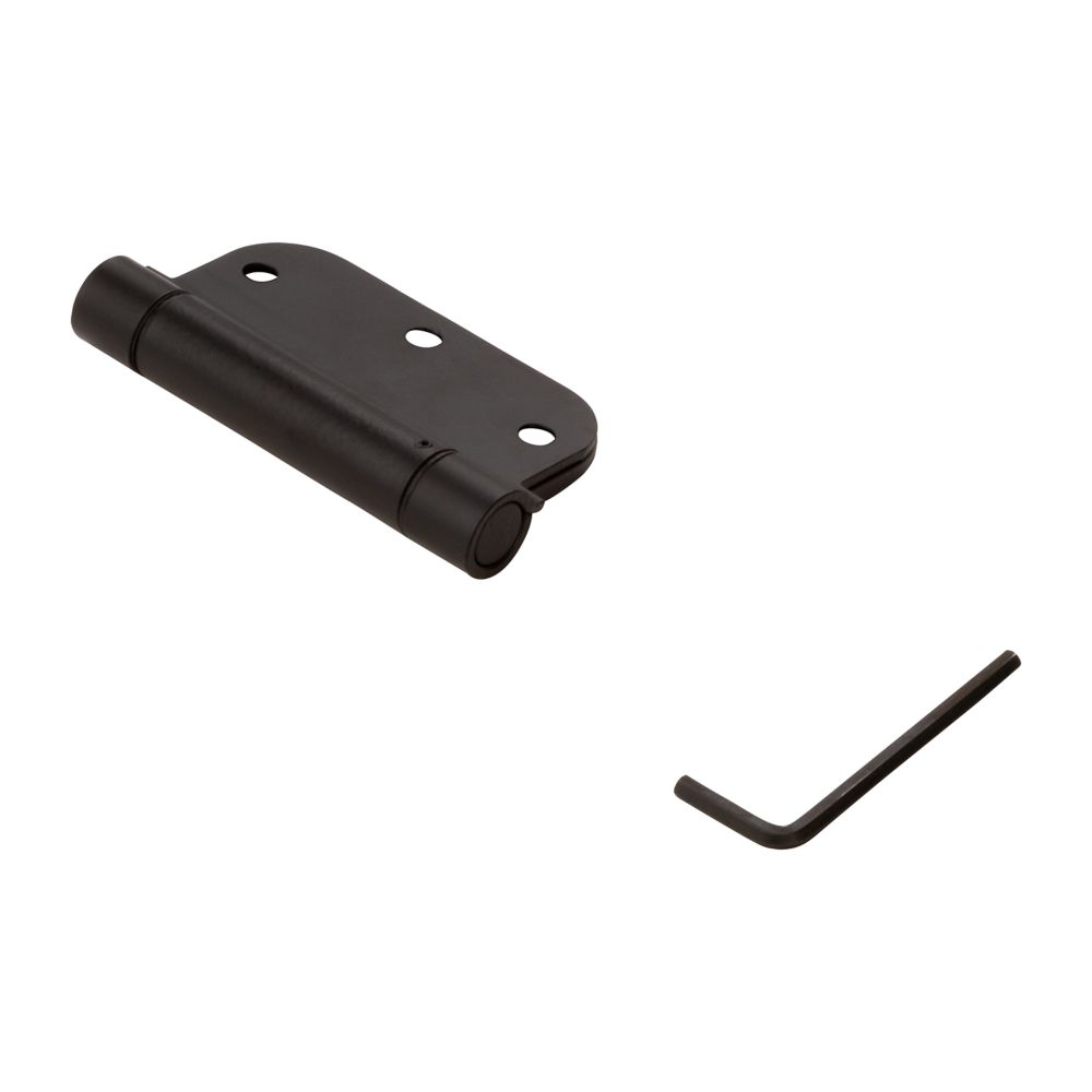 Primary Product Image for Spring Hinge