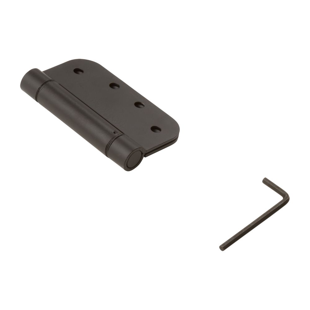 Primary Product Image for Spring Hinge