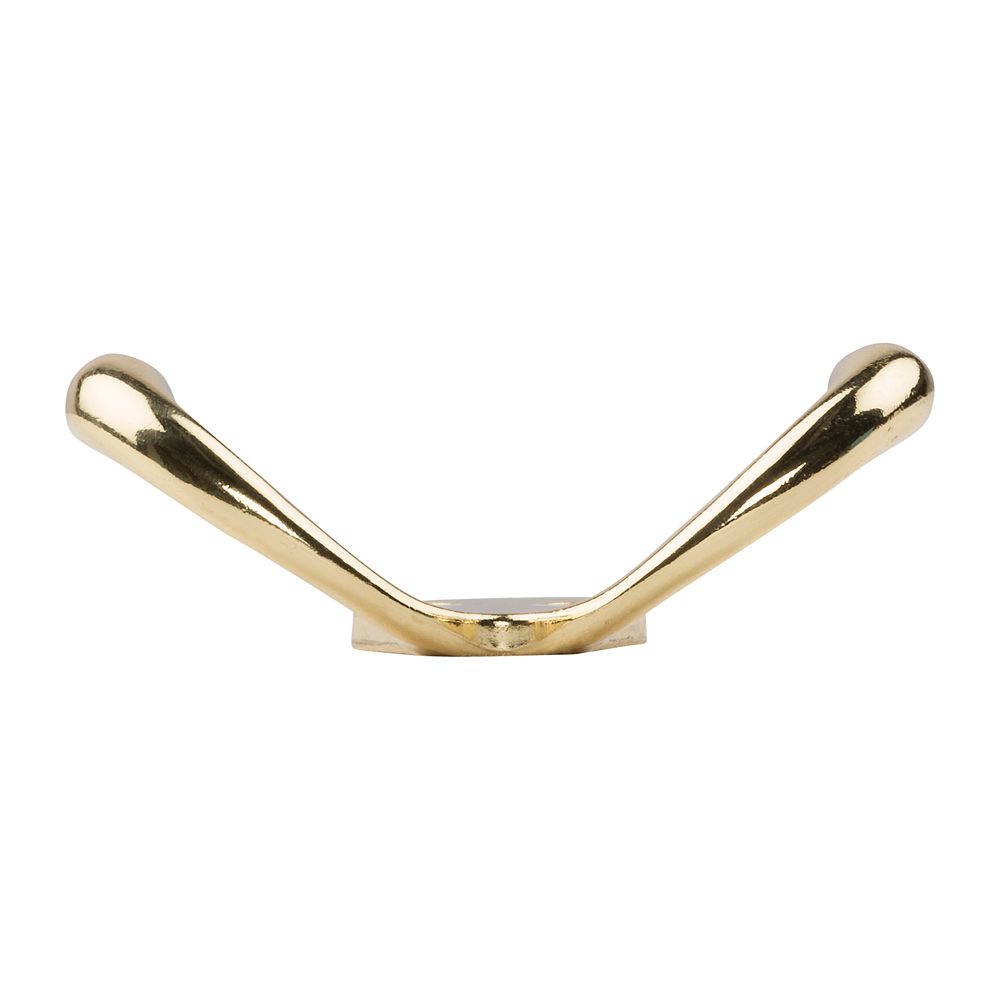 Clipped Image for Double Prong Robe Hook